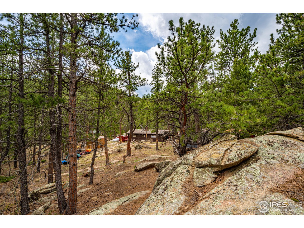 134 Aspen Drive Lyons, CO 80540 - Photo 32 of 36