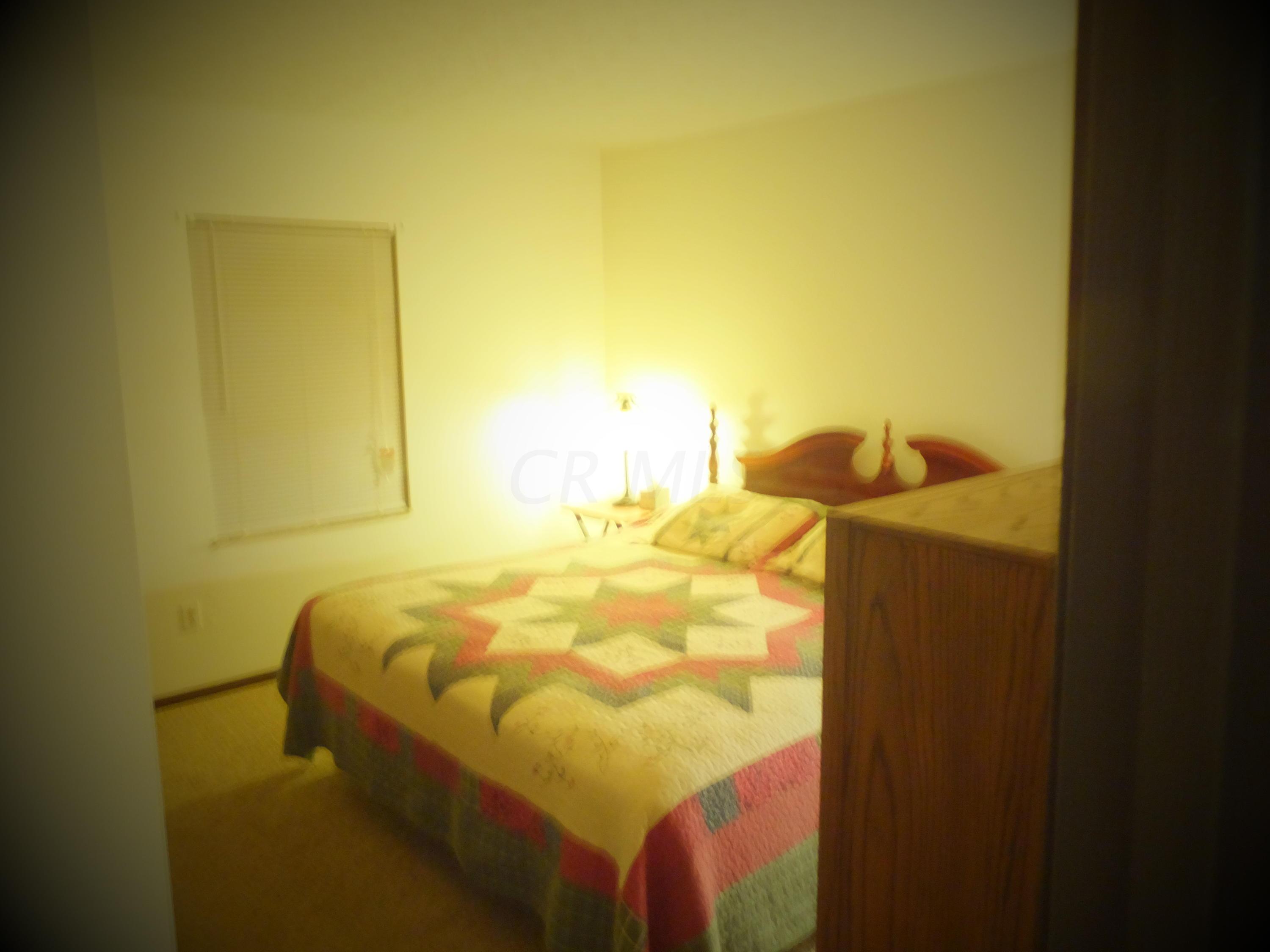 665 Holly Road Delaware, OH 43015 - Photo 9 of 21 Gallery Image 9