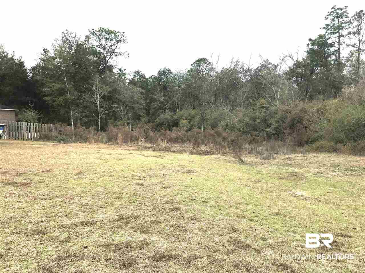 13243 Cathedral Lane Silverhill, AL 36576 - Photo 2 of 5 View from Cathedral Lane