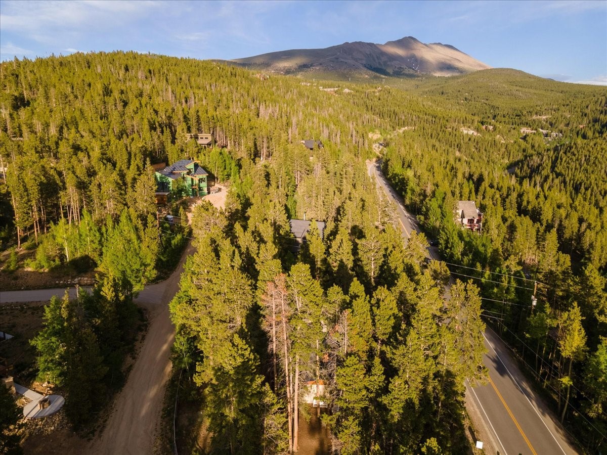1981 Boreas Pass Road Breckenridge, CO 80424 - Photo 28 of 50