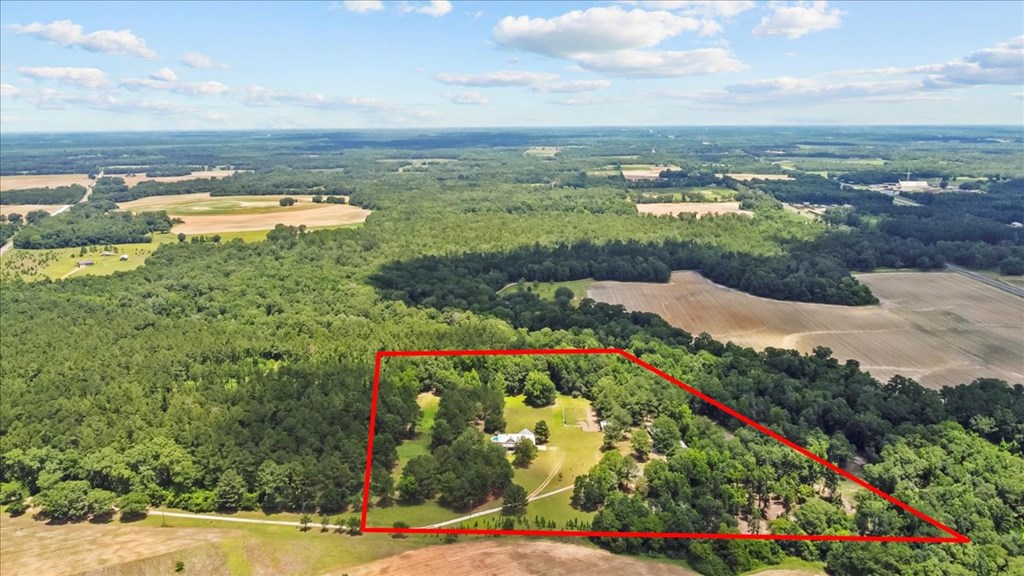 3195 Singletary Road Slocomb, AL 36375 - Photo 10 of 58