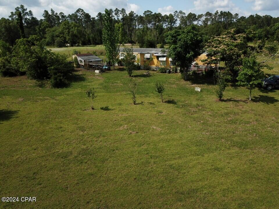 Tbd Bollinger Road Vernon, FL 32462 - Photo 3 of 28