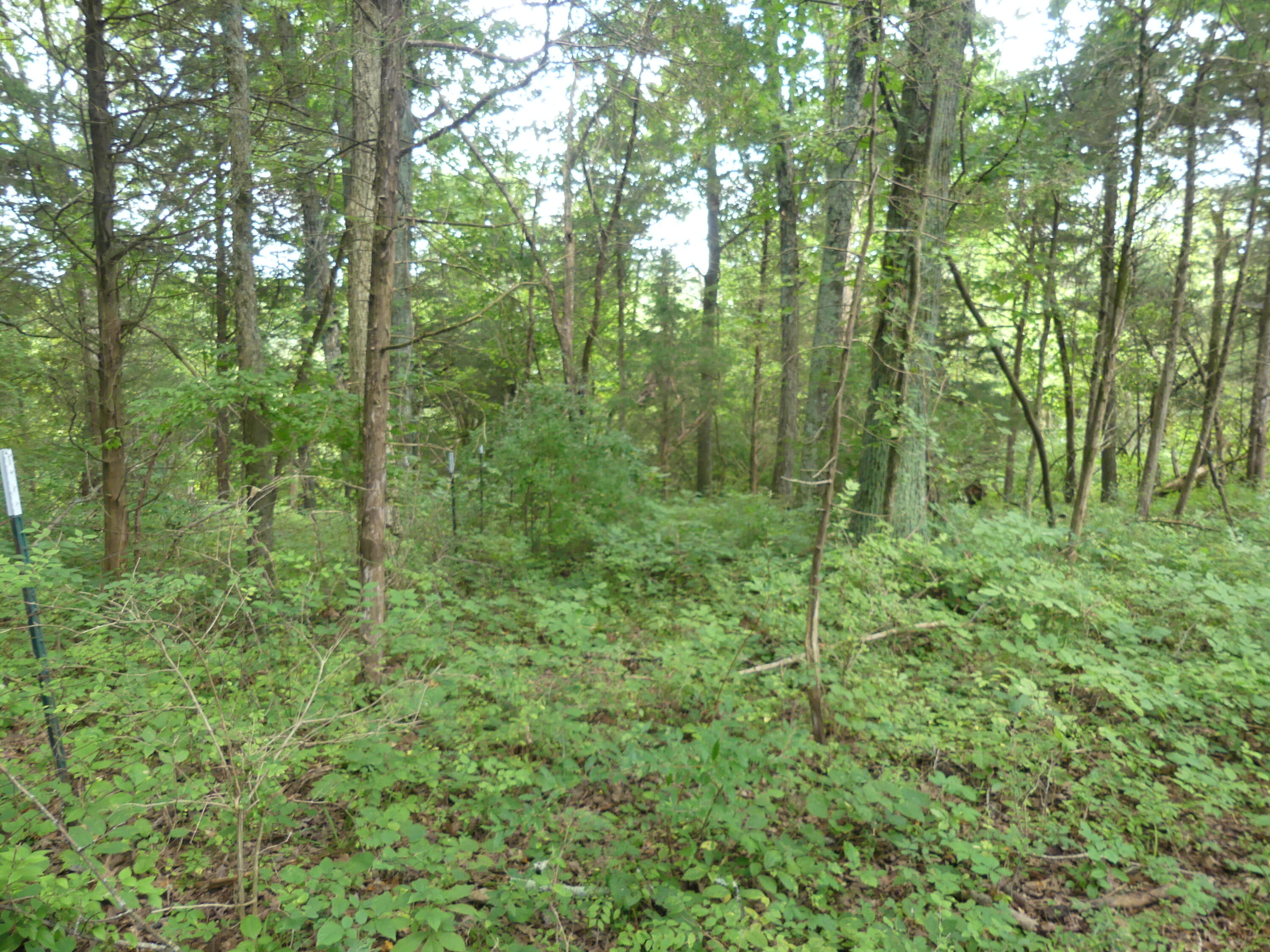 1040 Delaney Road Lawrenceburg, KY 40342 - Photo 53 of 55 P1020061