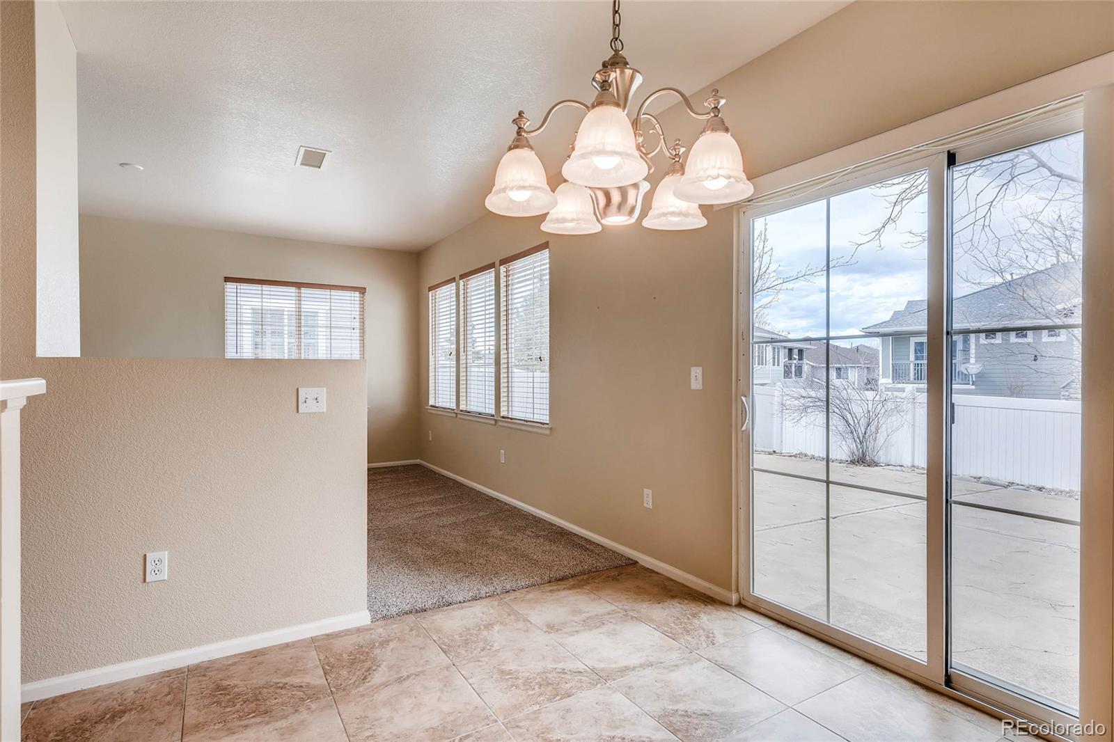 197 Whitehaven Circle Highlands Ranch, CO 80129 - Photo 11 of 28