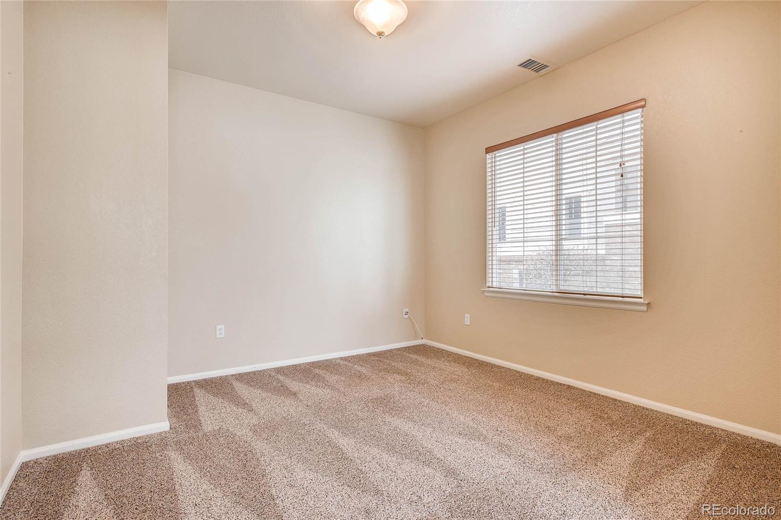 197 Whitehaven Circle Highlands Ranch, CO 80129 - Photo 12 of 28