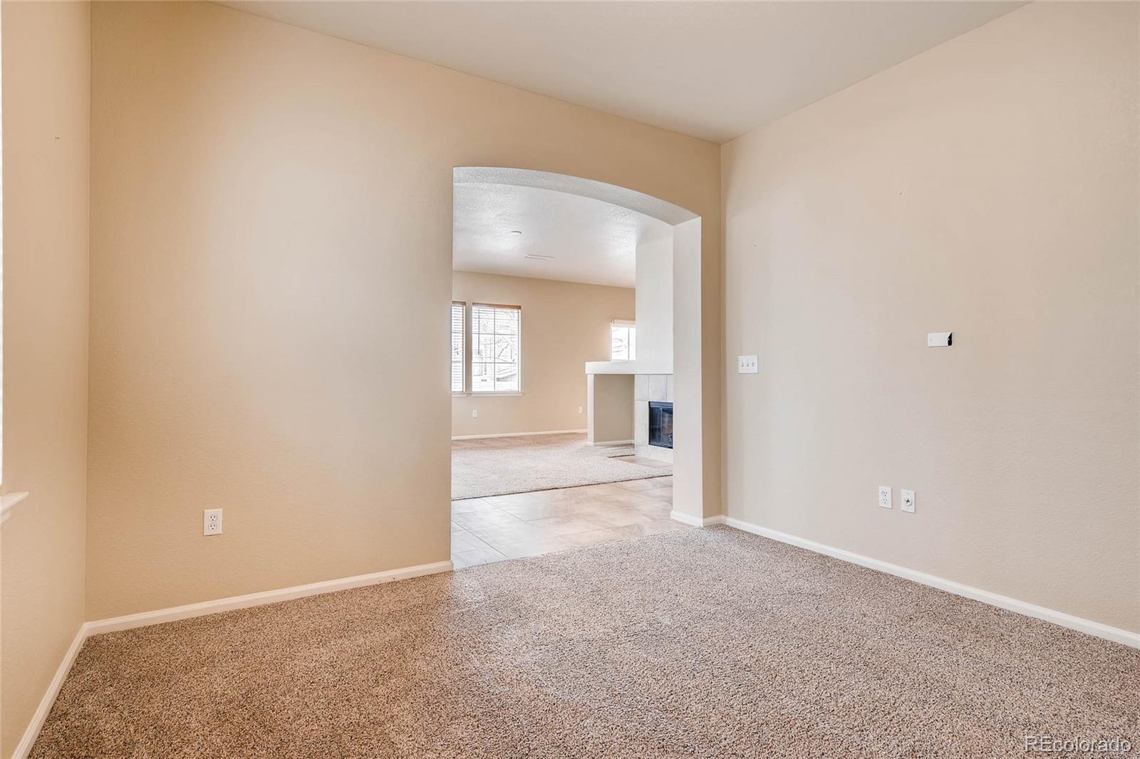 197 Whitehaven Circle Highlands Ranch, CO 80129 - Photo 13 of 28
