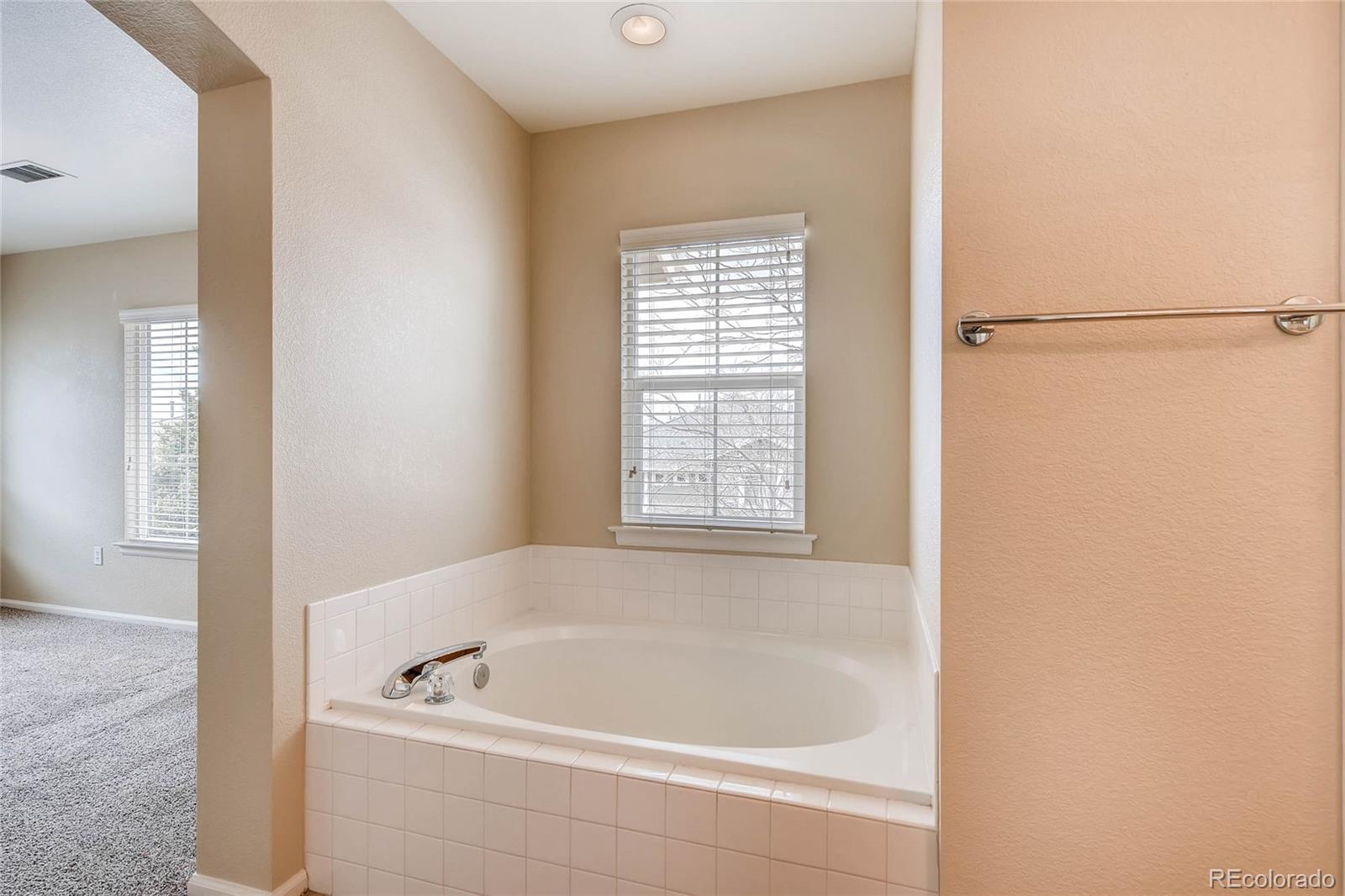 197 Whitehaven Circle Highlands Ranch, CO 80129 - Photo 19 of 28