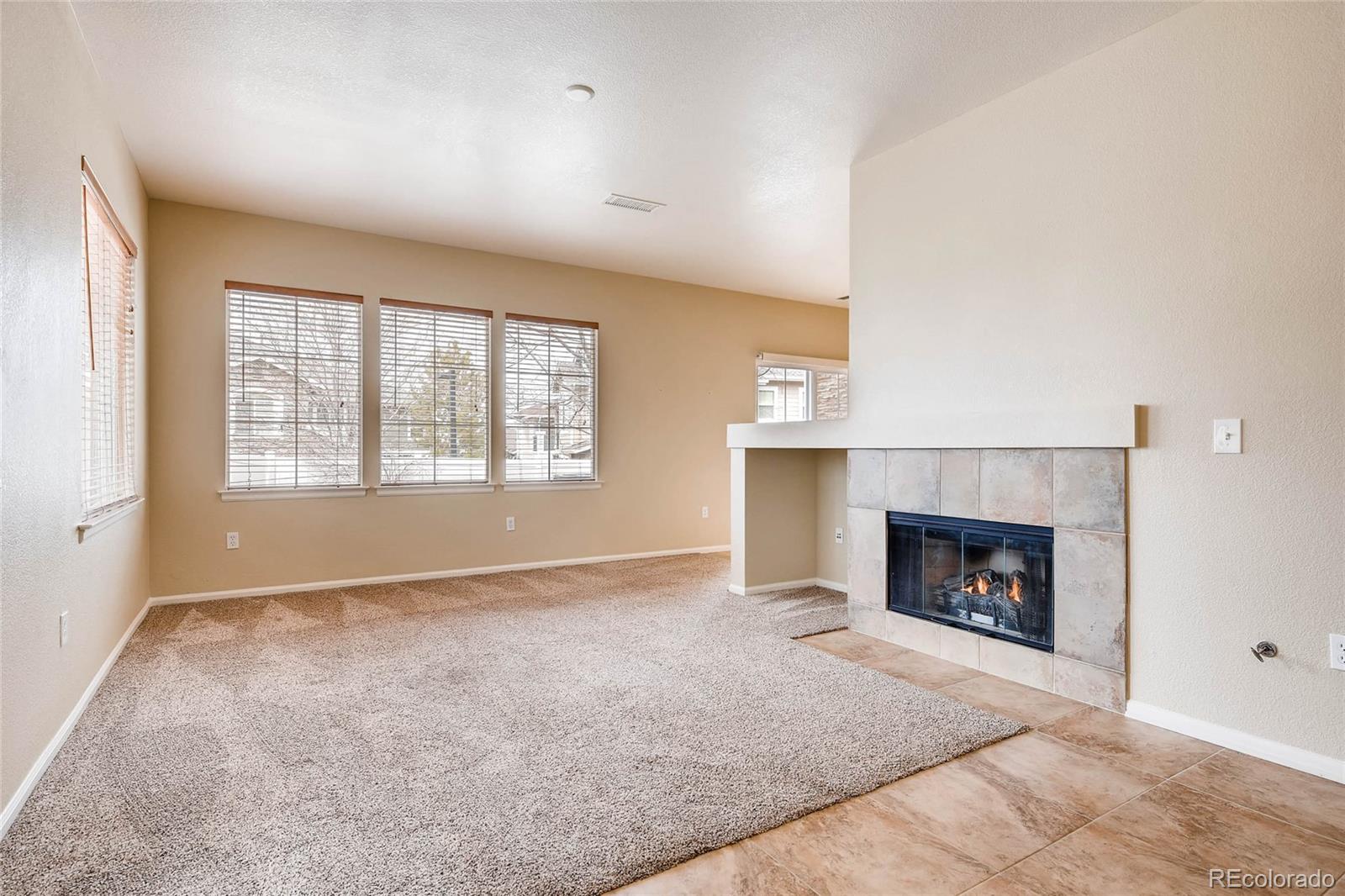 197 Whitehaven Circle Highlands Ranch, CO 80129 - Photo 3 of 28