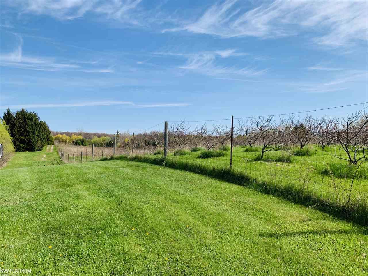 6440 Bordman Road Romeo, MI 48065 - Photo 84 of 94 Peach Trees