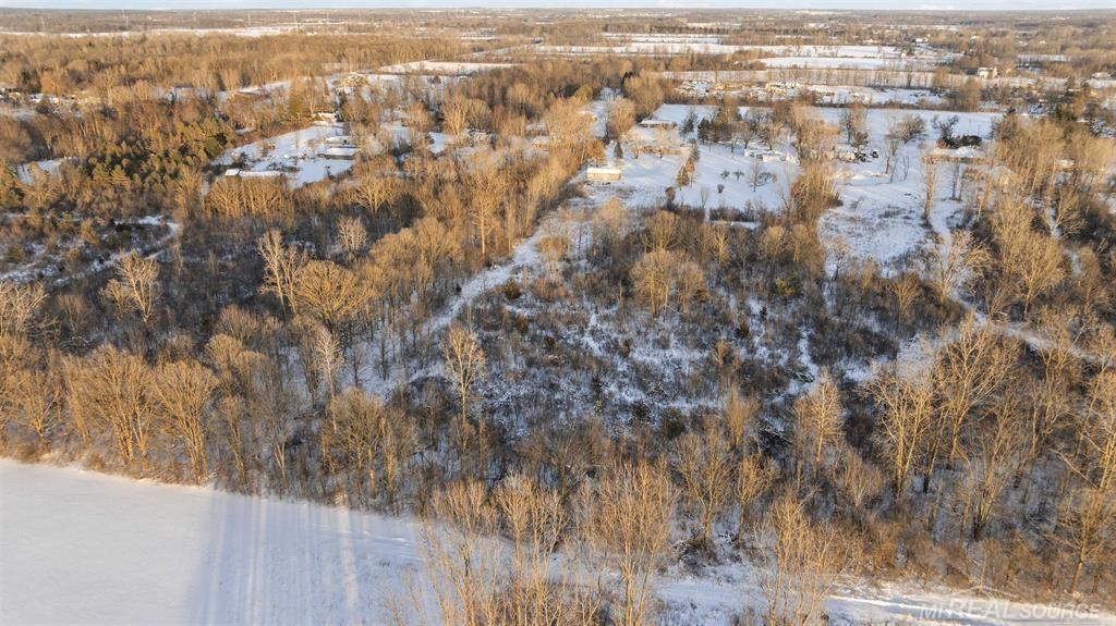 69455 Hicks Road Armada, MI 48005 - Photo 37 of 47