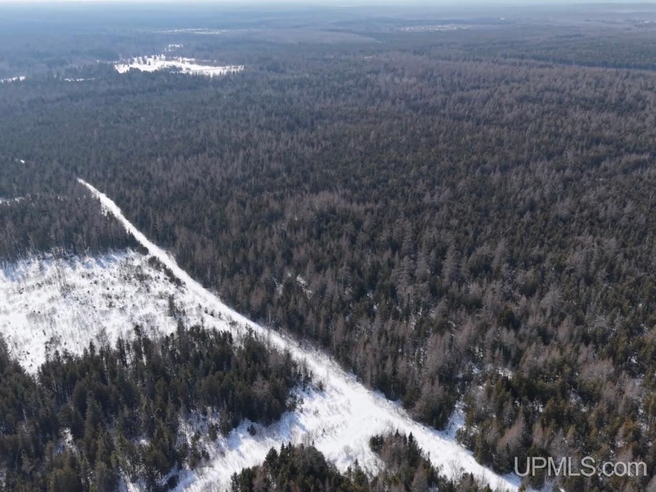 W 80-acres River Road Gulliver, MI 49840 - Photo 19 of 29