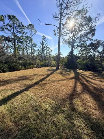 a view of a yard with a tree