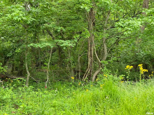 $25,000 | Lot 4 Choctaw Drive, Carbondale, IL 62901