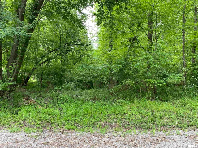 $25,000 | Lot 4 Choctaw Drive, Carbondale, IL 62901