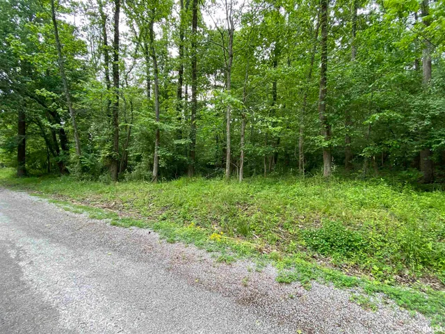 $25,000 | Lot 4 Choctaw Drive, Carbondale, IL 62901