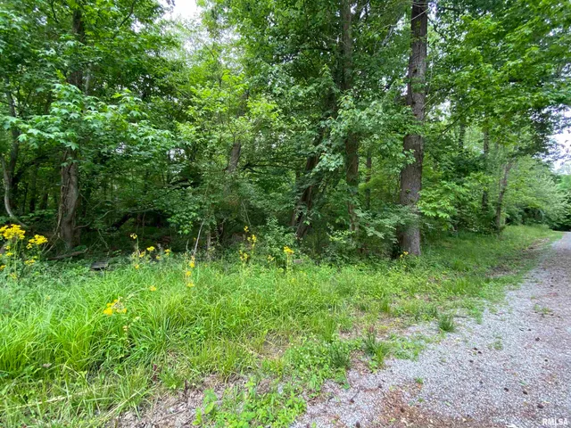 $25,000 | Lot 4 Choctaw Drive, Carbondale, IL 62901