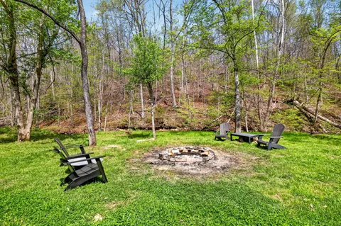 a view of a backyard with plants and a patio