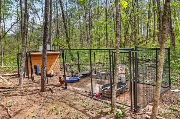 a view of a yard