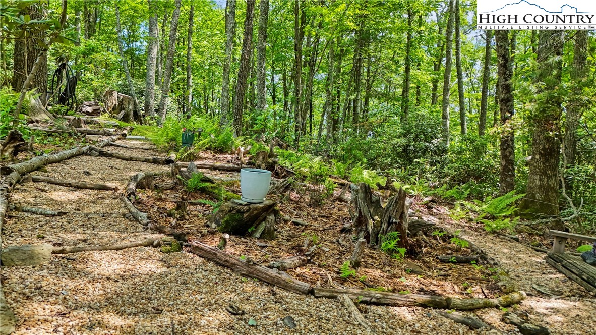 157 Twisted Laurel Lane Blowing Rock, NC 28605 - Photo 21 of 50