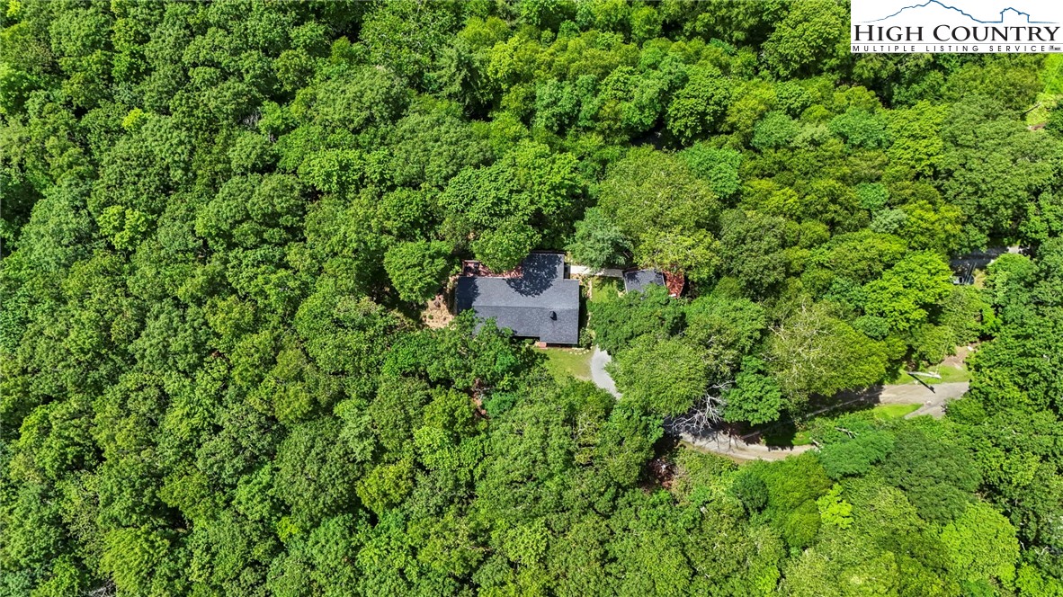 157 Twisted Laurel Lane Blowing Rock, NC 28605 - Photo 23 of 50