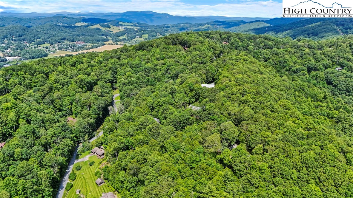 157 Twisted Laurel Lane Blowing Rock, NC 28605 - Photo 24 of 50