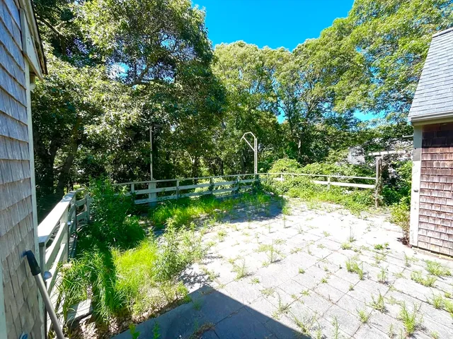 a view of a pathway with a yard