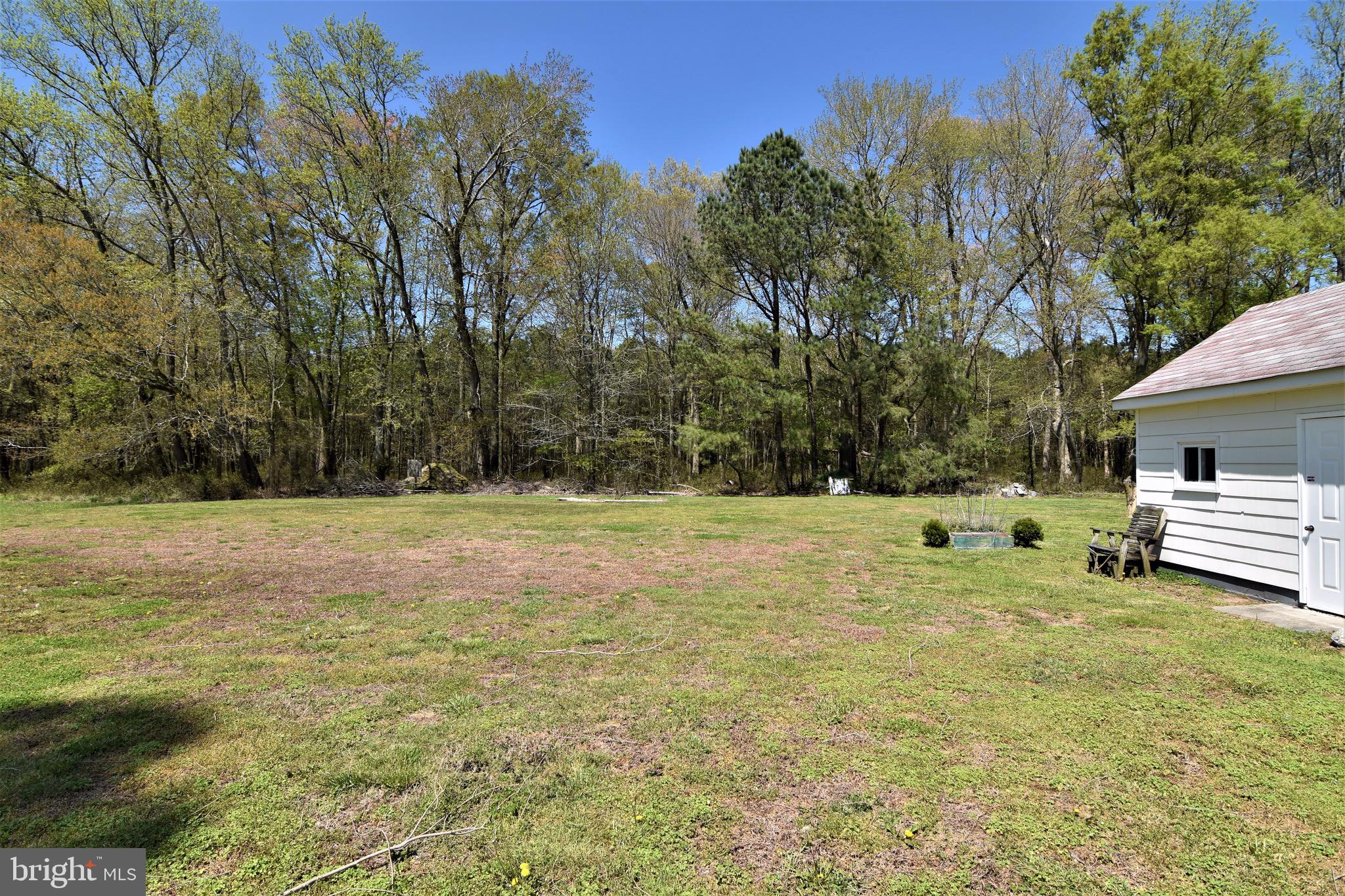 27836 Oriole Road Princess Anne, MD 21853 - Photo 47 of 57 Back Yard