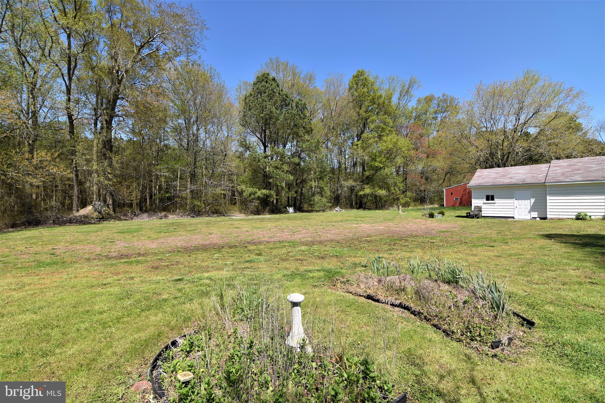 27836 Oriole Road Princess Anne, MD 21853 - Photo 48 of 57 Backyard