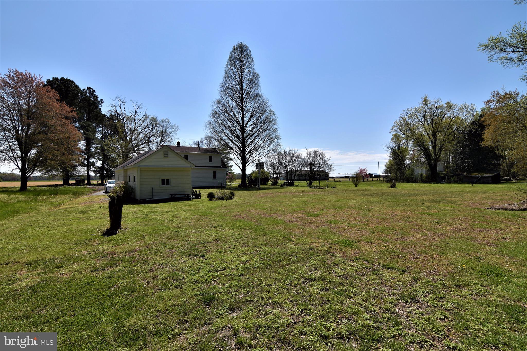 27836 Oriole Road Princess Anne, MD 21853 - Photo 50 of 57 View from Rear of Property