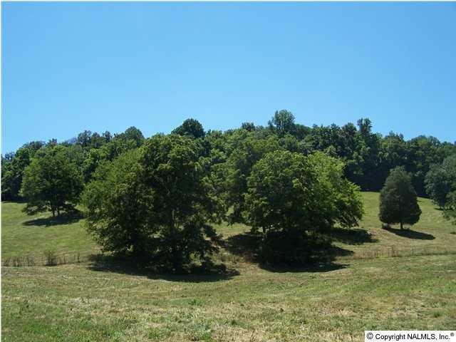 5825 Beech Hill Road Pulaski, TN 38478 - Photo 1 of 5