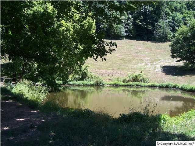 5825 Beech Hill Road Pulaski, TN 38478 - Photo 2 of 5