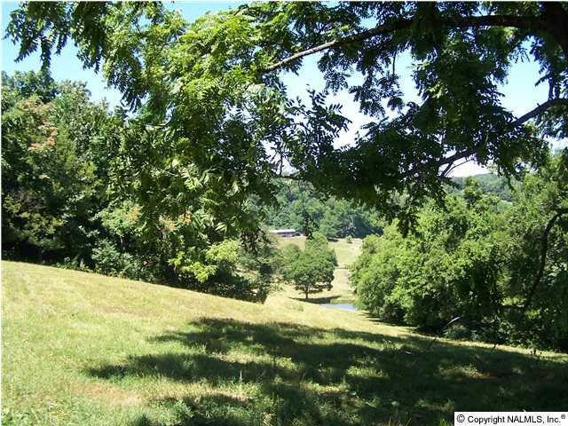 5825 Beech Hill Road Pulaski, TN 38478 - Photo 3 of 5