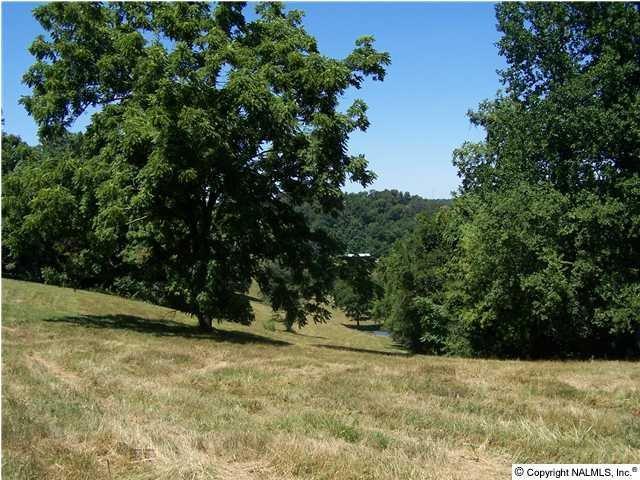 5825 Beech Hill Road Pulaski, TN 38478 - Photo 4 of 5