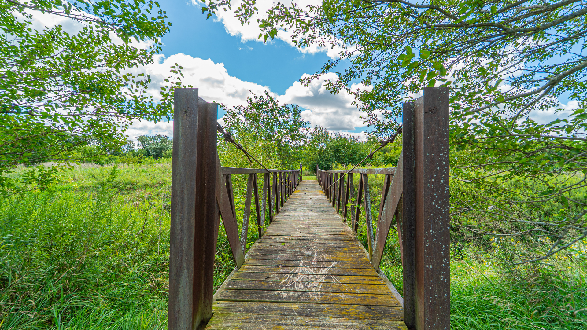 1340 East 2700 North Road Clifton, IL 60927 - Photo 67 of 80
