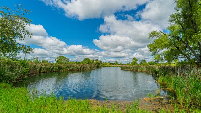 $725,000 | 1340 East 2700 North Road, Clifton, IL 60927