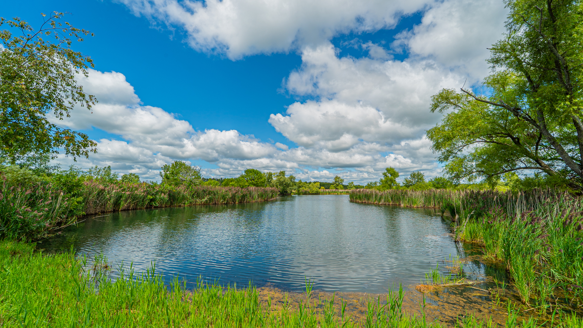 1340 East 2700 North Road Clifton, IL 60927 - Photo 68 of 80