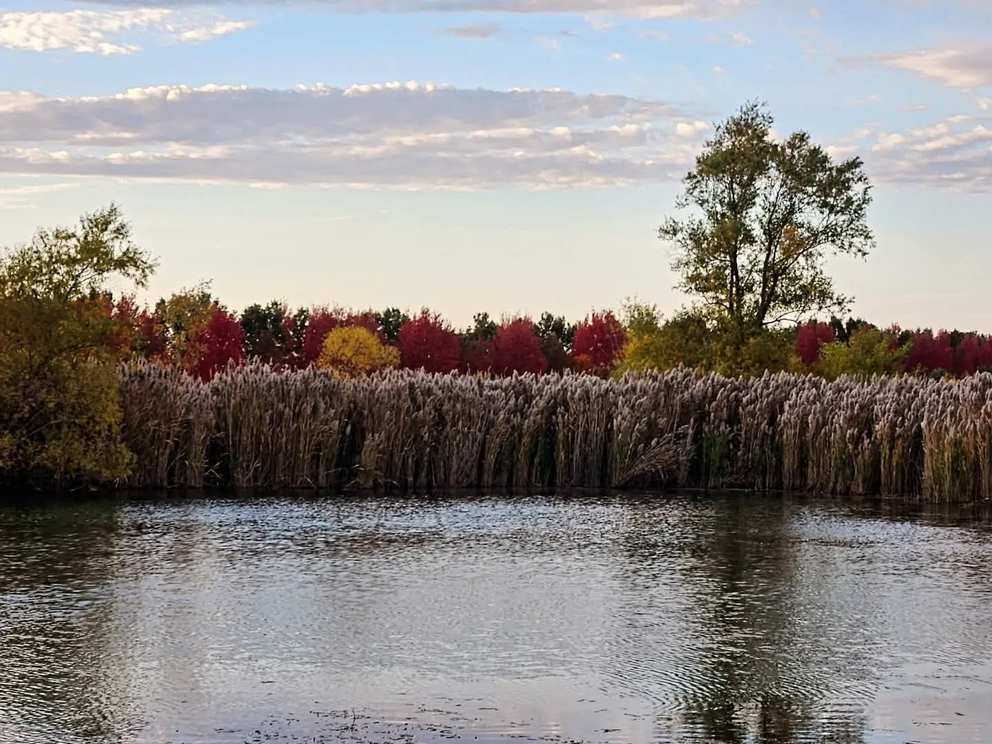 1340 East 2700 North Road Clifton, IL 60927 - Photo 74 of 80