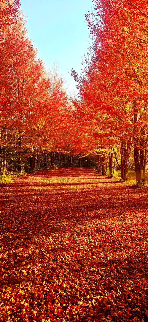 1340 East 2700 North Road Clifton, IL 60927 - Photo 77 of 80 a view of an ocean with city