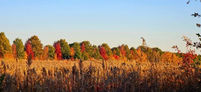 $725,000 | 1340 East 2700 North Road, Clifton, IL 60927