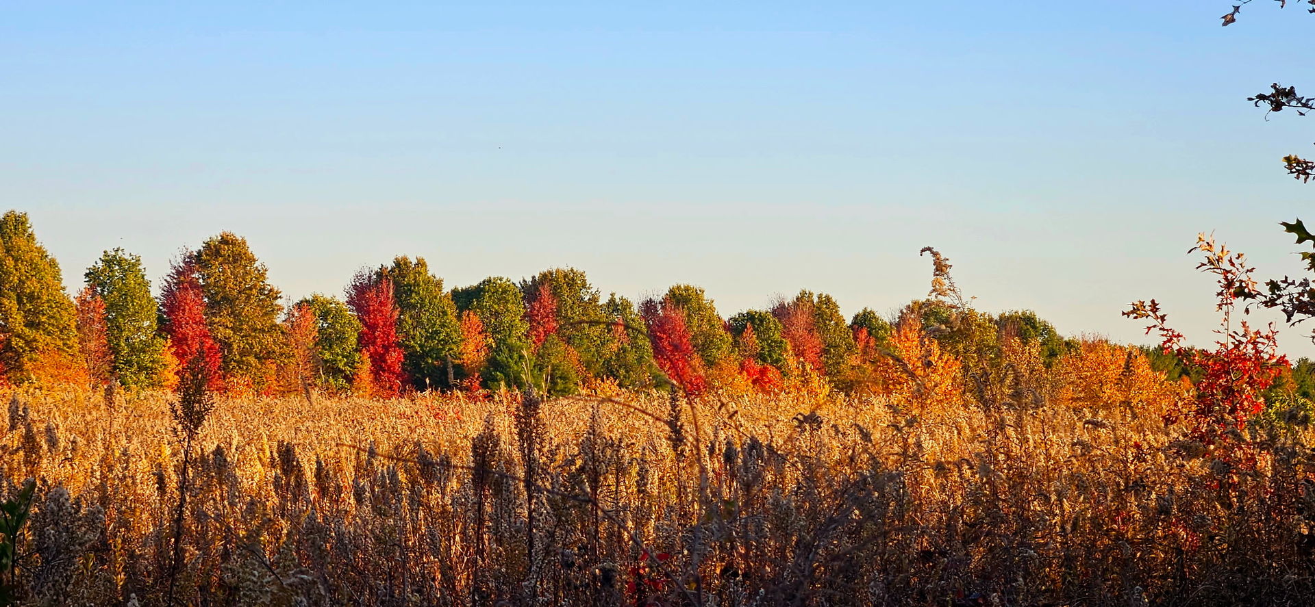 1340 East 2700 North Road Clifton, IL 60927 - Photo 78 of 80