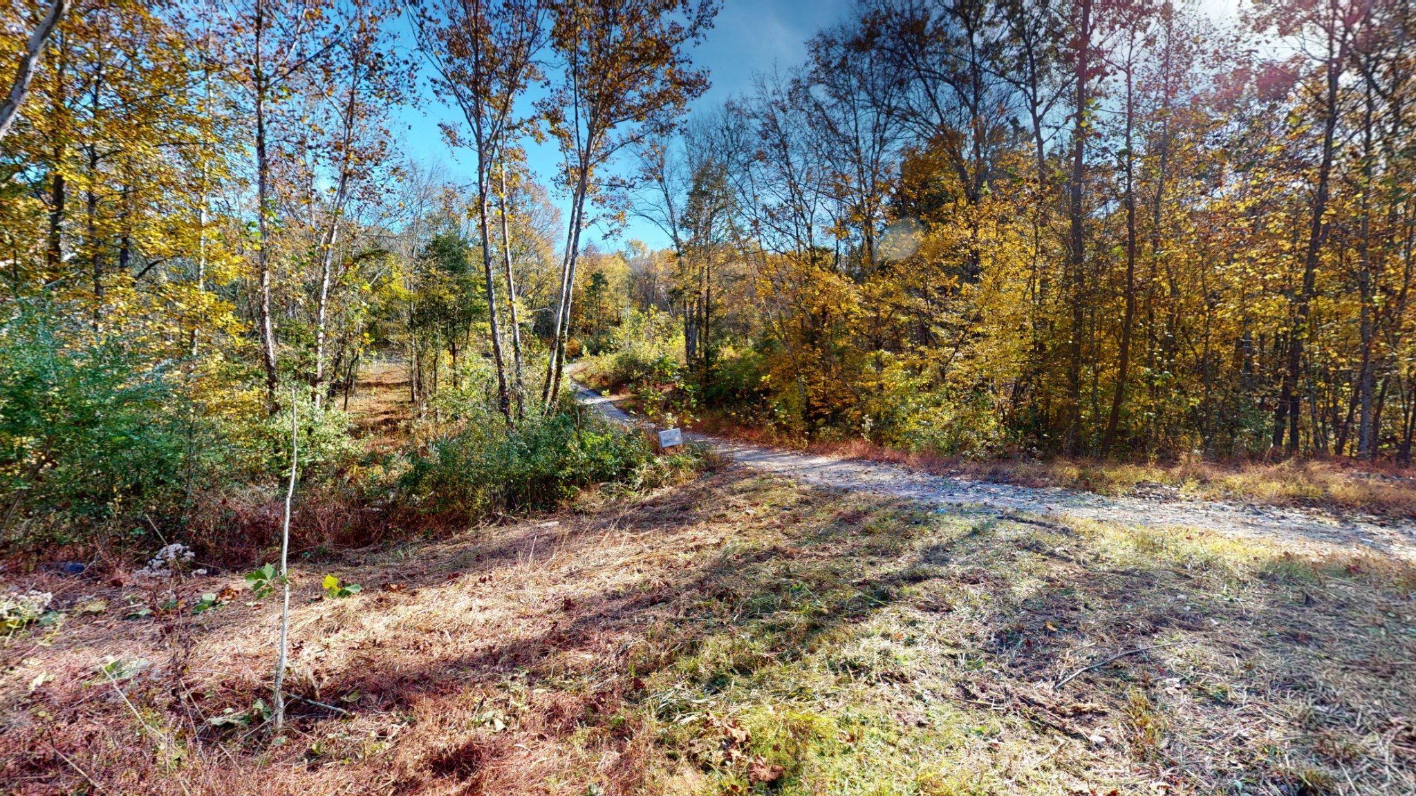 151 Angels Cove Lane Lebanon, TN 37087 - Photo 3 of 24 a view of a yard with plants and trees