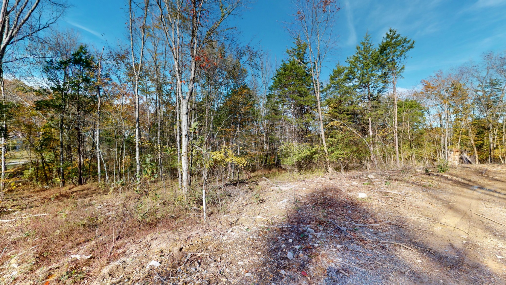 151 Angels Cove Lane Lebanon, TN 37087 - Photo 4 of 24 a view of a yard with trees