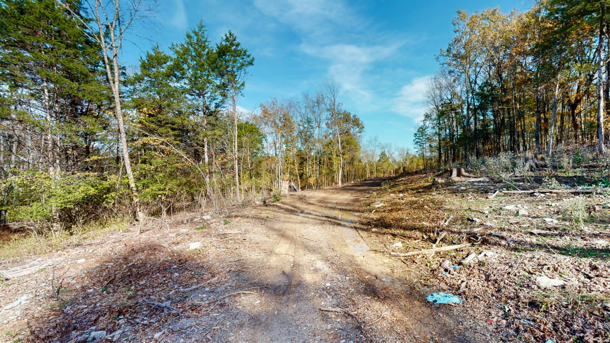 151 Angels Cove Lane Lebanon, TN 37087 - Photo 5 of 24 a view of dirt yard with a tree