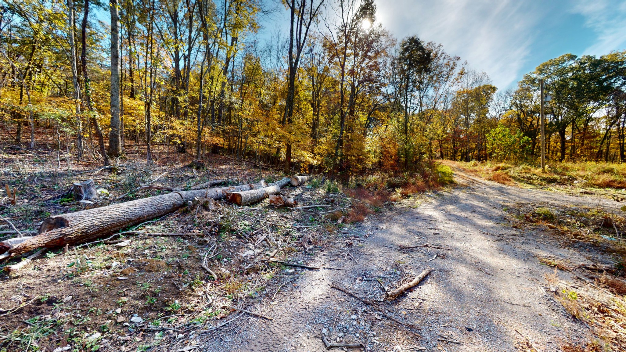 151 Angels Cove Lane Lebanon, TN 37087 - Photo 6 of 24 a view of a yard with trees