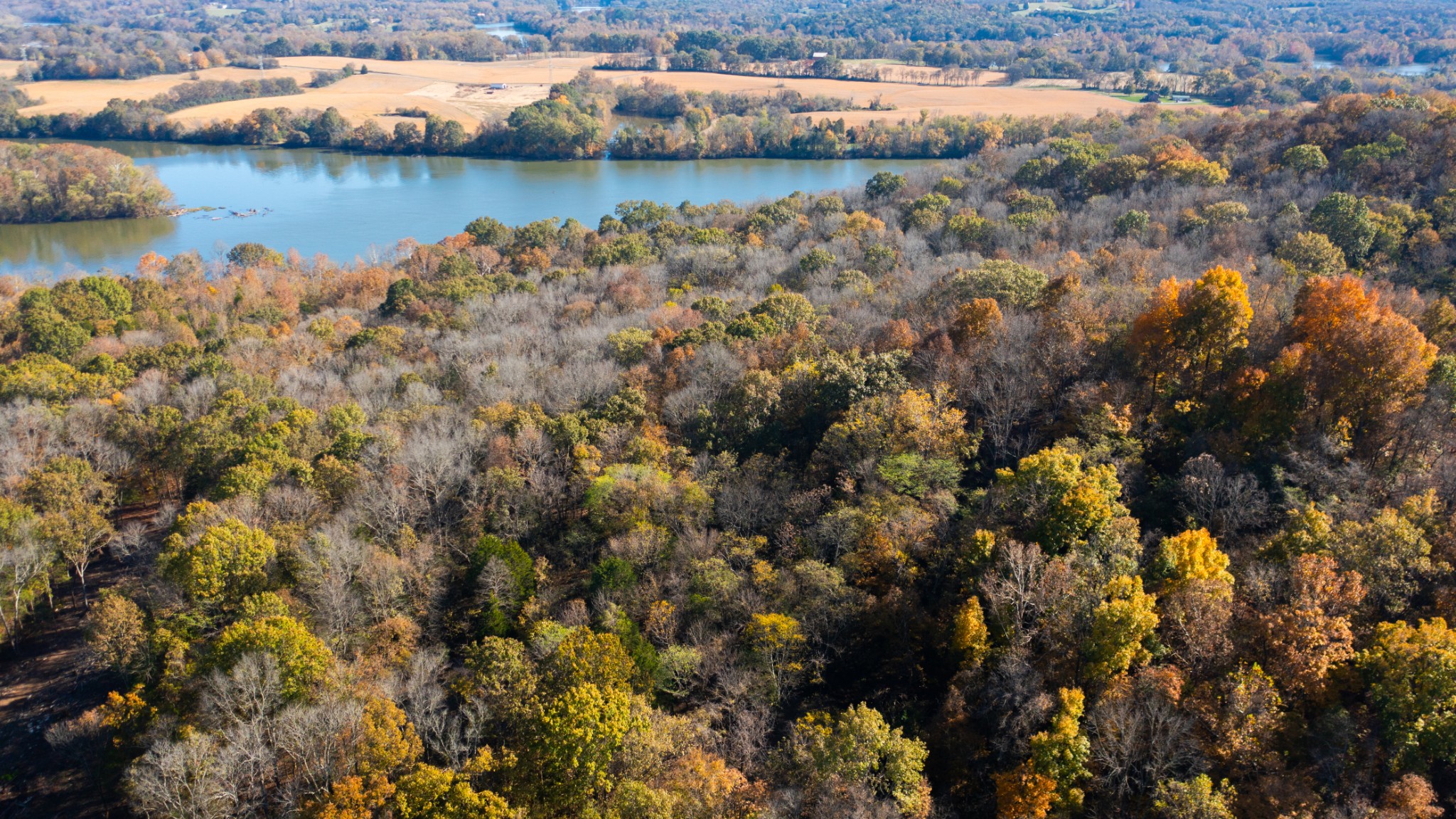 151 Angels Cove Lane Lebanon, TN 37087 - Photo 10 of 24 a view of a lake with houses