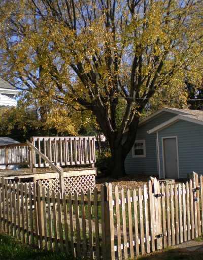 1435 Broadway Street Springfield, OH 45504 - Photo 3 of 12