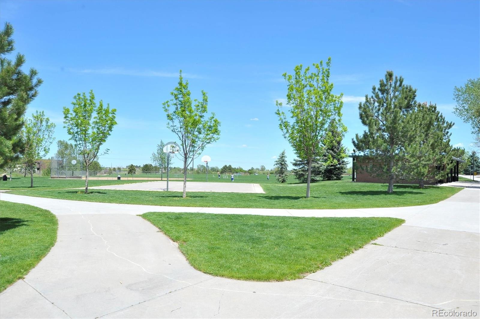 5282 East Devon Avenue Castle Rock, CO 80104 - Photo 36 of 37