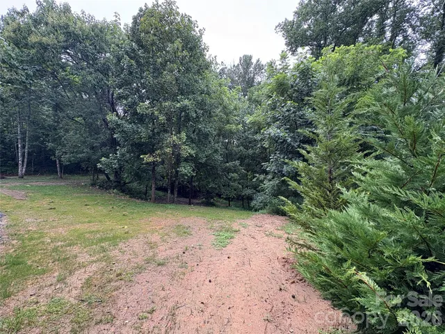 wooden floor in an empty room with a fireplace