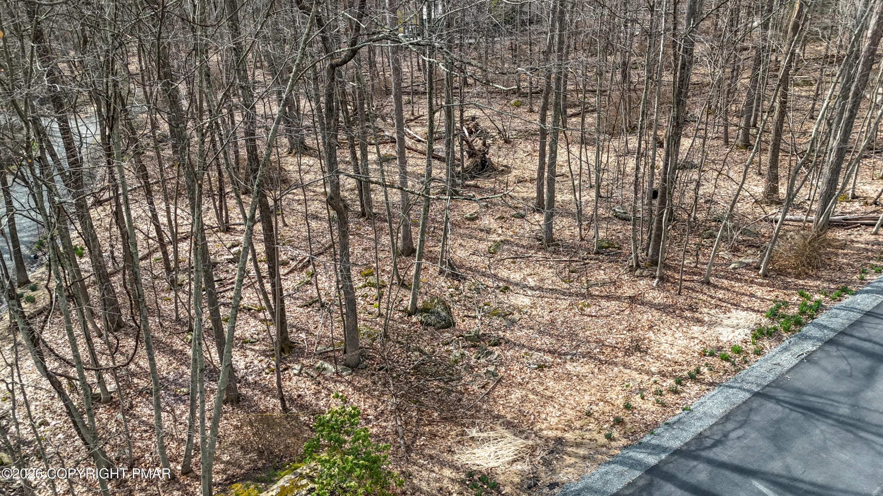 Lot 307 Blue Ridge Drive Cresco, PA 18326 - Photo 6 of 7 Street View