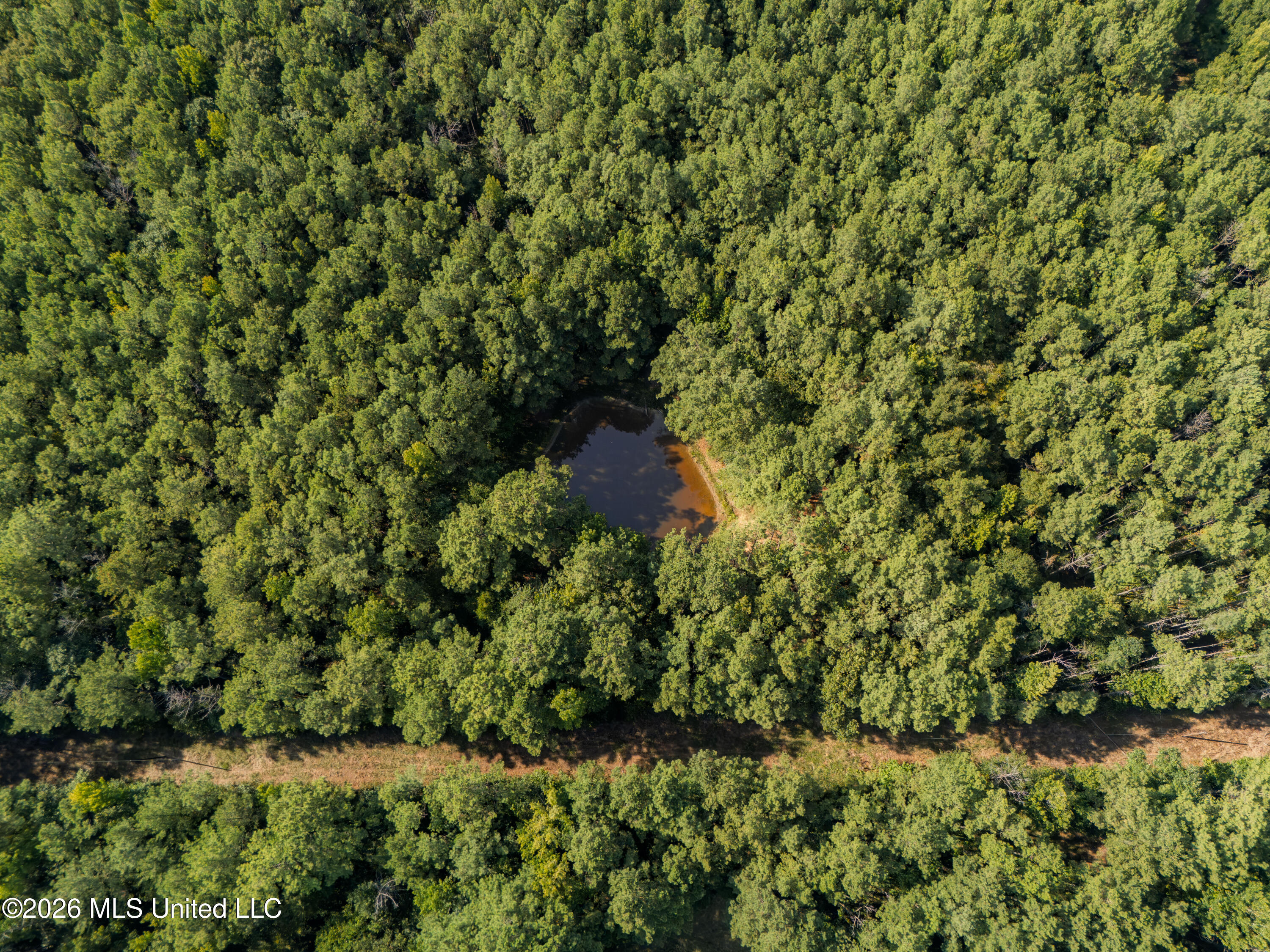884 Truitt Road Pickens, MS 39146 - Photo 27 of 36 DJI_20260817163506_0207_D